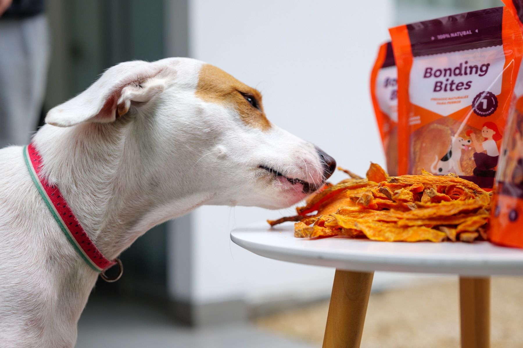 Un perro huele unas rodajas de camote junto a bolsas de Bonding Bites