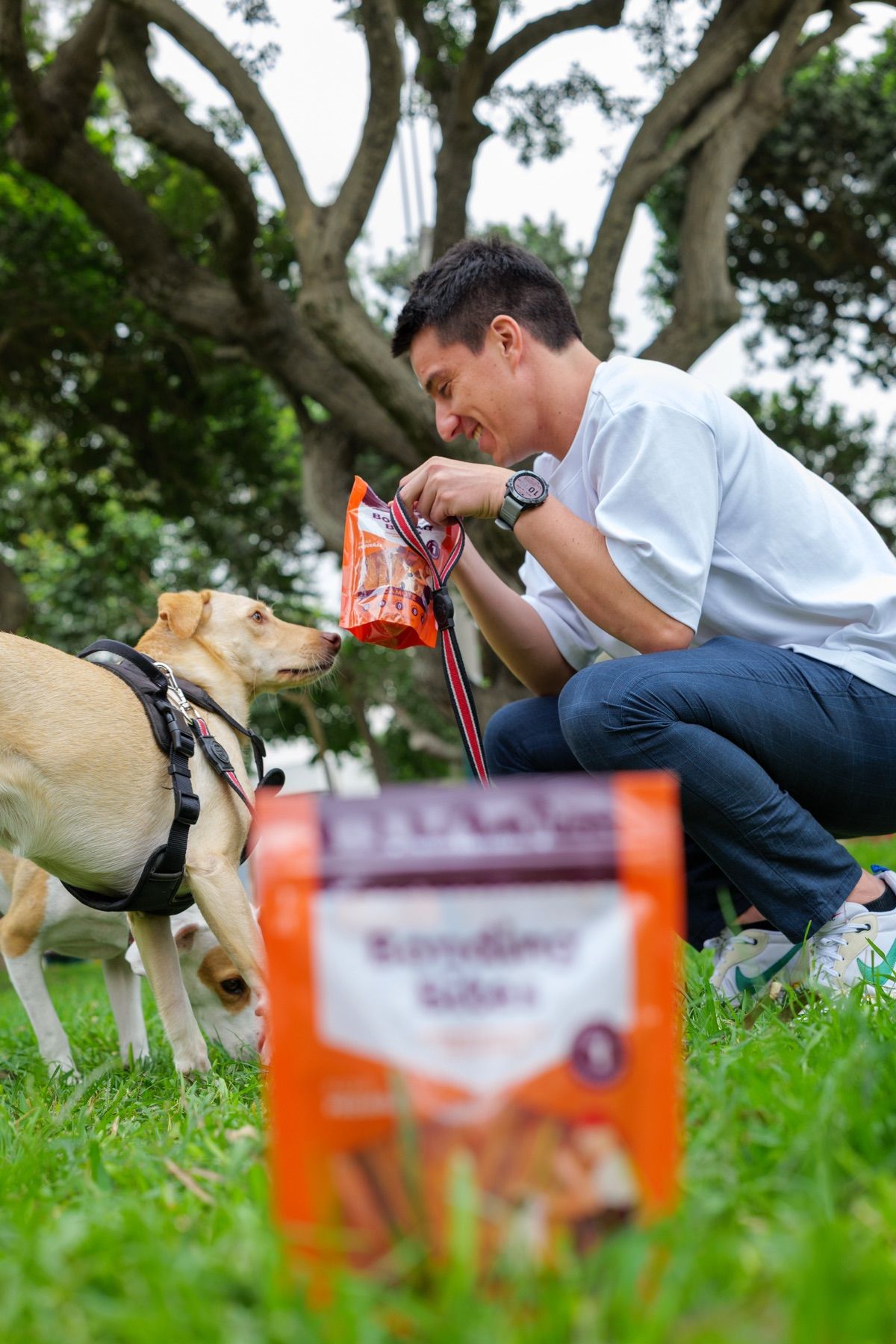 Un chico agachado en el pasto le ofrece un premio Bonding Bites a su perro